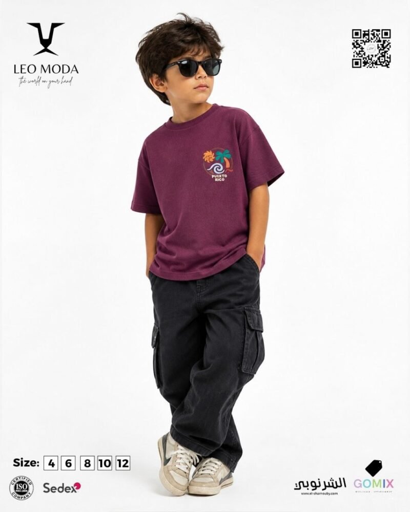 Boys' summer t-shirt-Aubergine